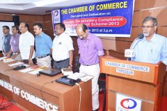 Service Tax Programme 2013