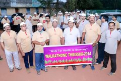 WALKATHONE 2014